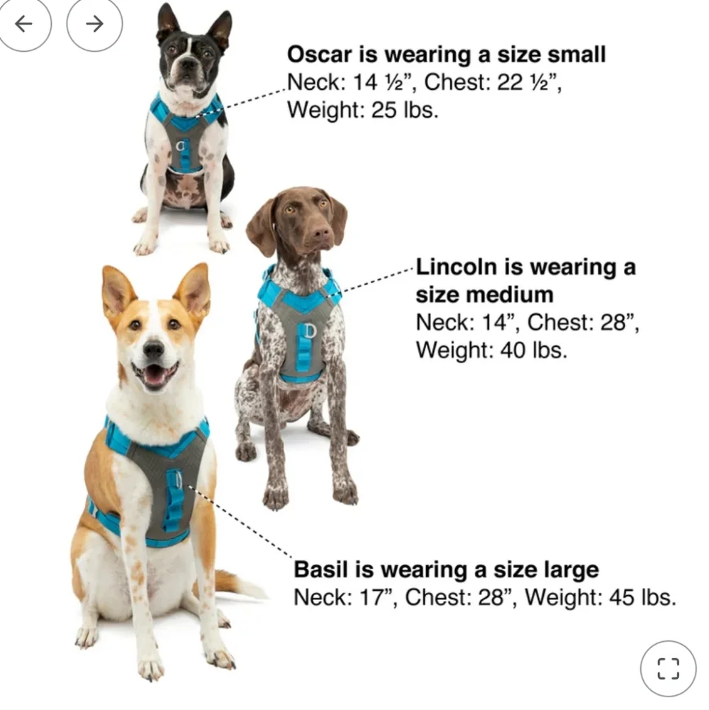 Kurgo sturdy harness